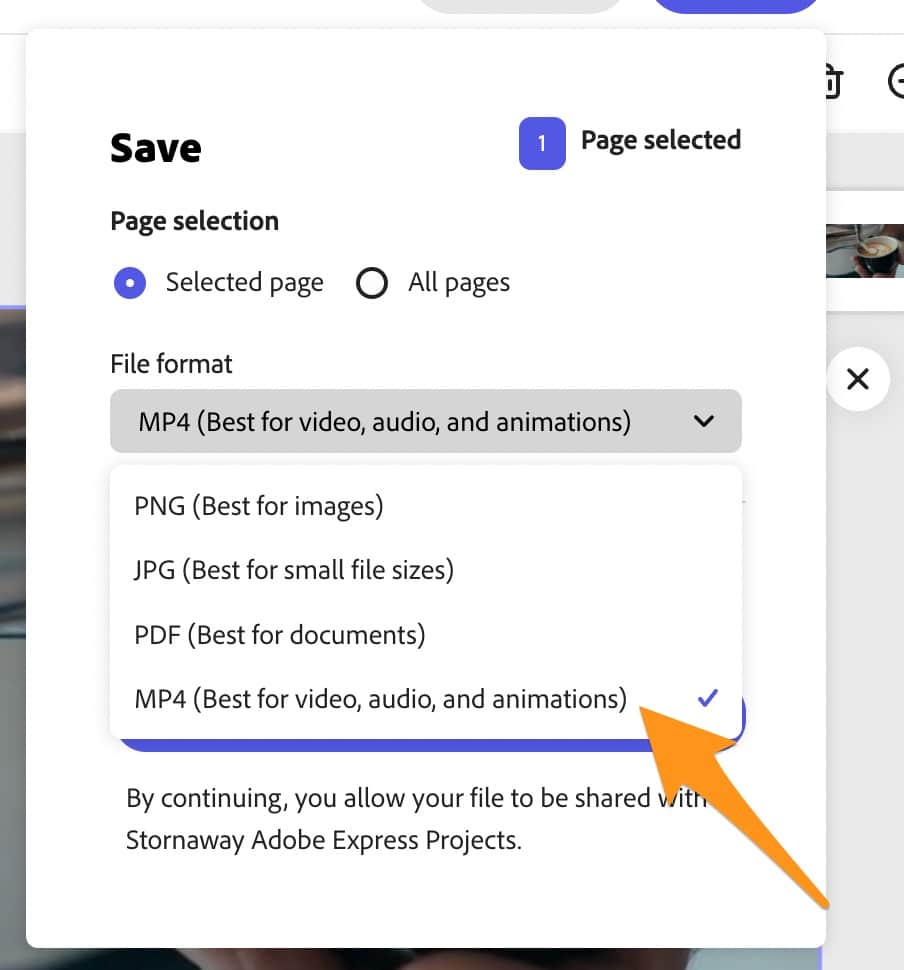 A save settings panel drop down shows options for saving a file. A big orange arrow points to "MP4 (best for video, audio and animations)"