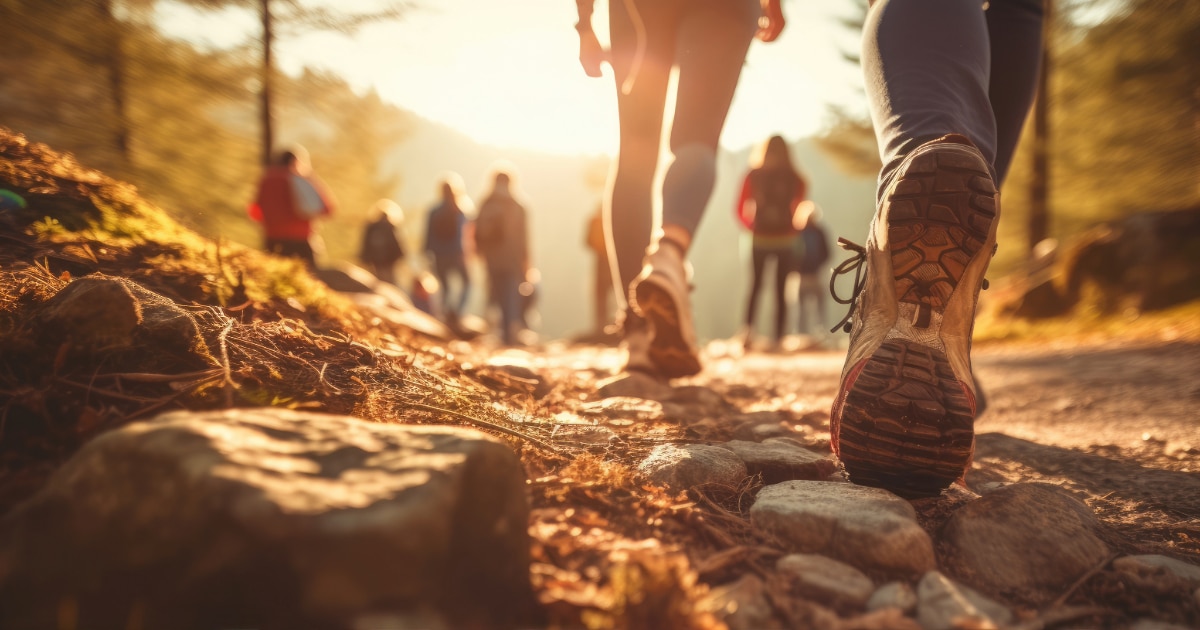 Catch Up: Meet the Experts: Adaptive Video for Learning – 7 May 2024